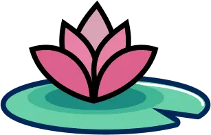 Lotus on Lilly Pad